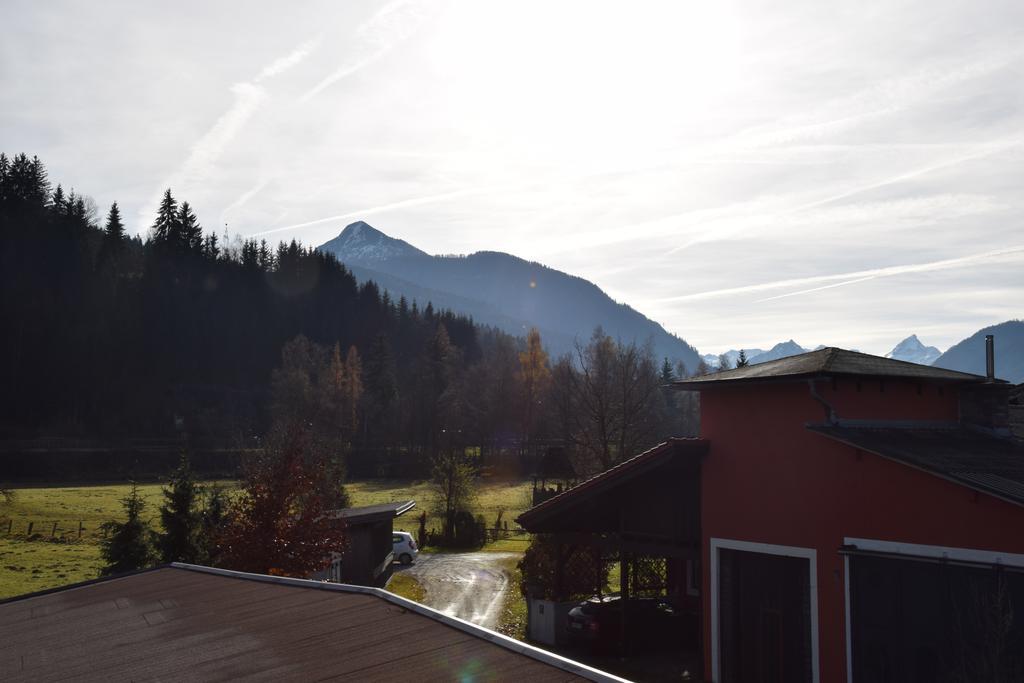 Apartment Ellmer *
