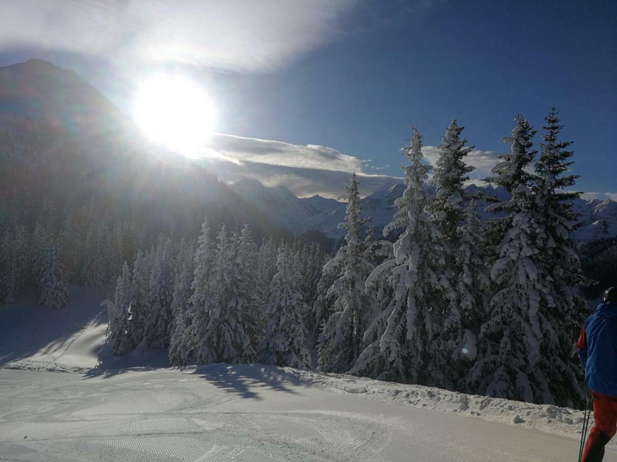 Ellmer Apartment Flachau